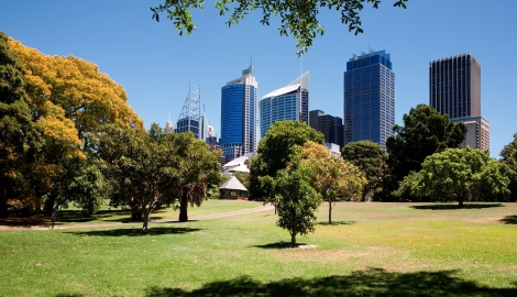 Untitled design (44)